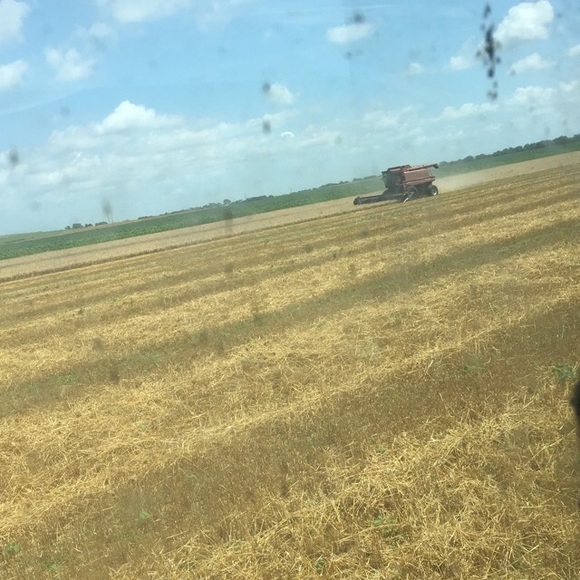 Meet your Posher, Haley - Picture 1 of 1